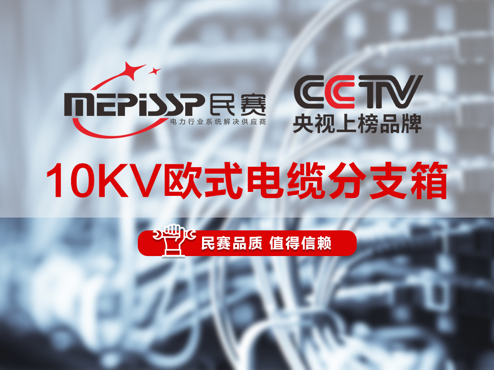 ��������-10KVŷʽ���·�֧�佲��