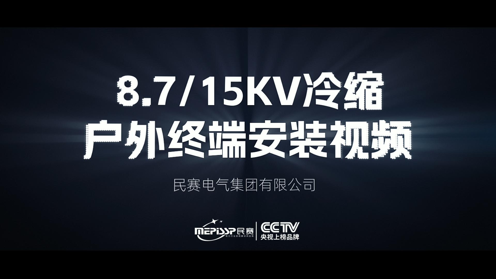 ����10KV�������¸�����װ�̳�