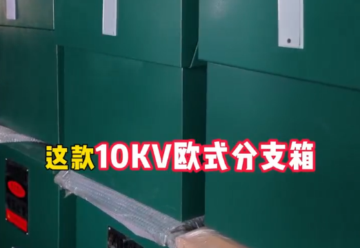 ��������10kvŷʽ���·�֧��